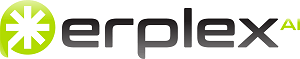 Perplex AI oto